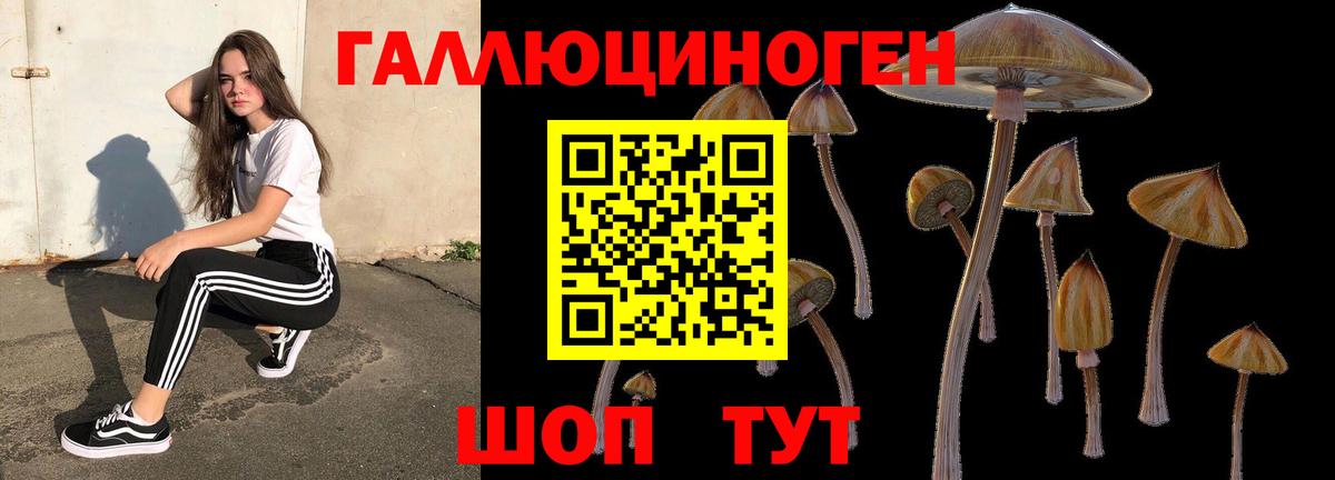 Галлюциногенные грибы MAGIC MUSHROOMS  Вход с VPN  Галлюциногенные грибы GOLDEN TEACHER  Коммунар 